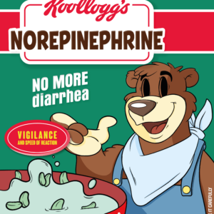 Norepinephrine - Norepinefrina stampa